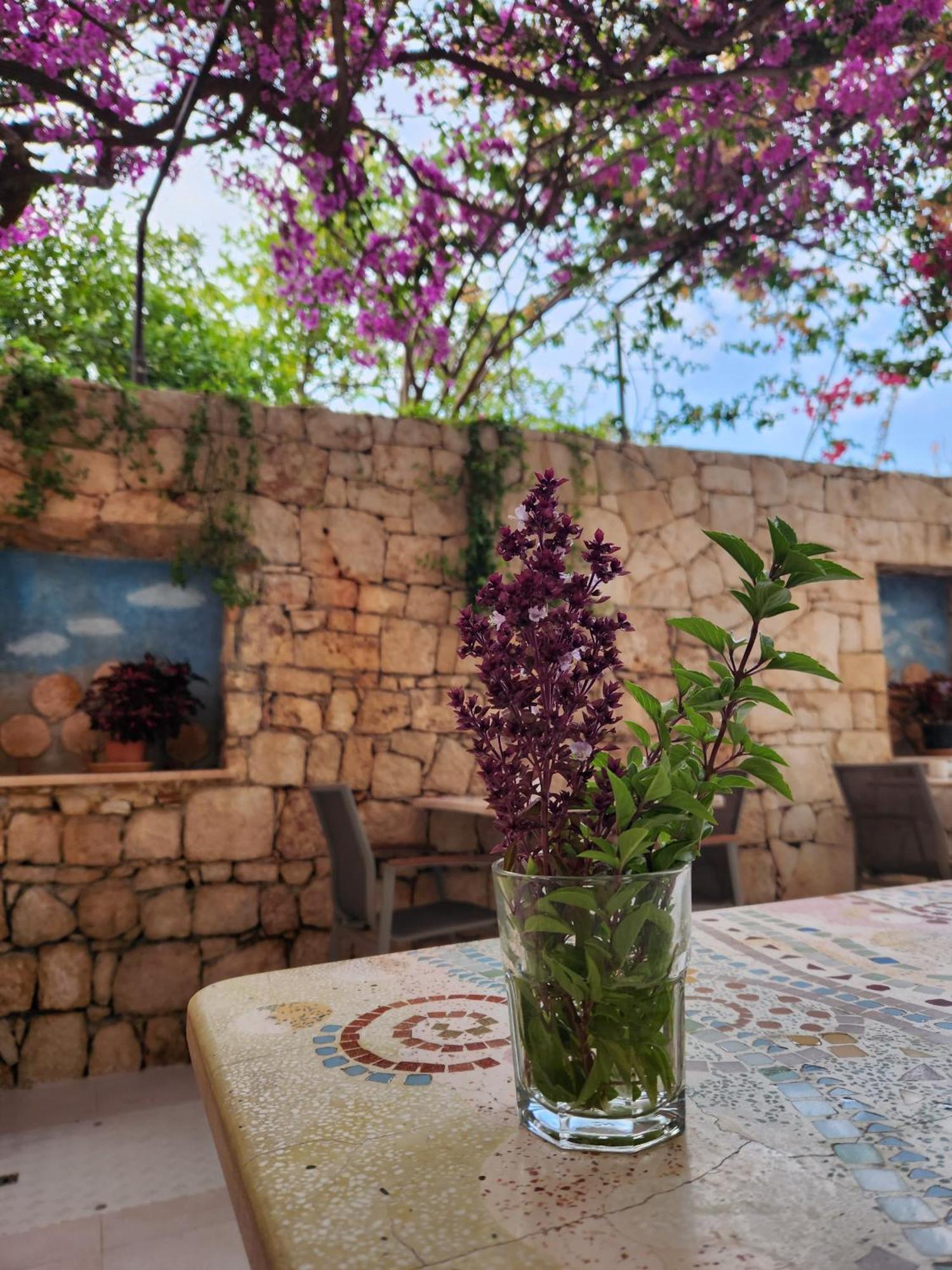 Hotel Begonvil Kas Exterior foto